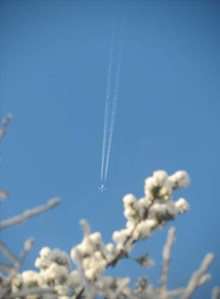 cropped-contrails.jpg