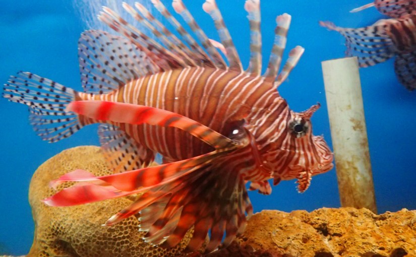 Day 22: Nha Trang – City&nbsp;Tour