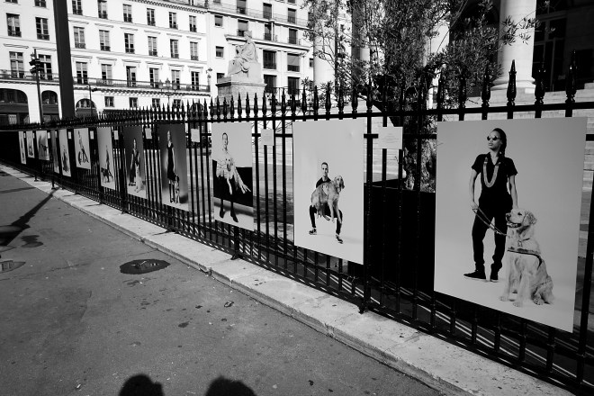 B&amp;W Fence4