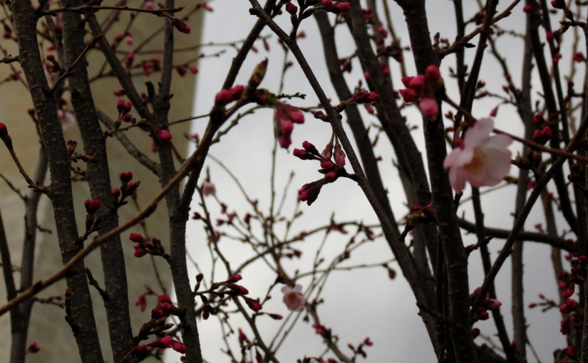 Views of the Washington&nbsp;Monument