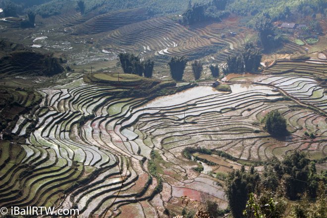 iBallRTW rice terrace