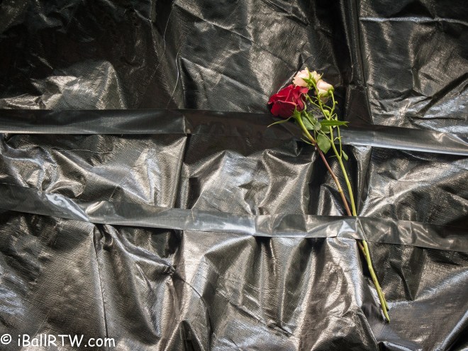Roses on Statue of General Robert E. Lee
